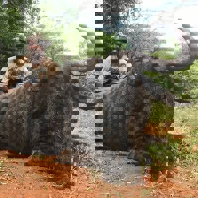 7 Day African Plains Intro (2x1)