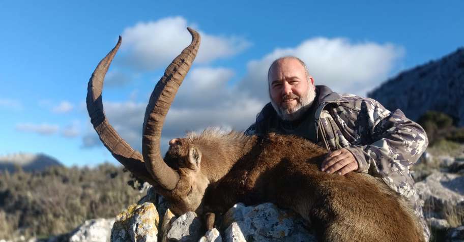 Original Ronda Ibex