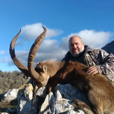 Original Ronda Ibex