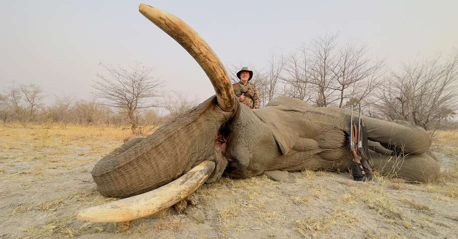 Non-exportable Elephant Package