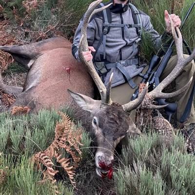 Big Game Hunting on Private Land