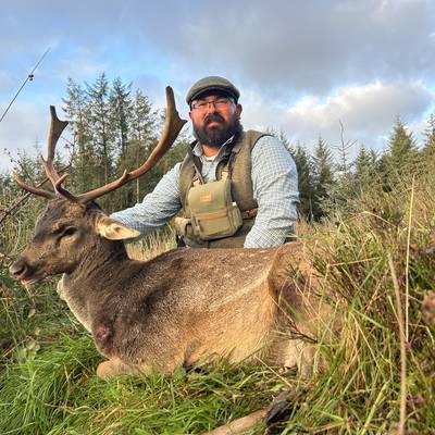 Fallow Buck Hunt