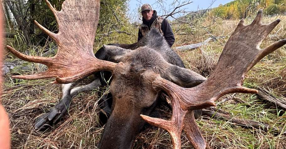 2026 Guided Moose Hunts 1:1
