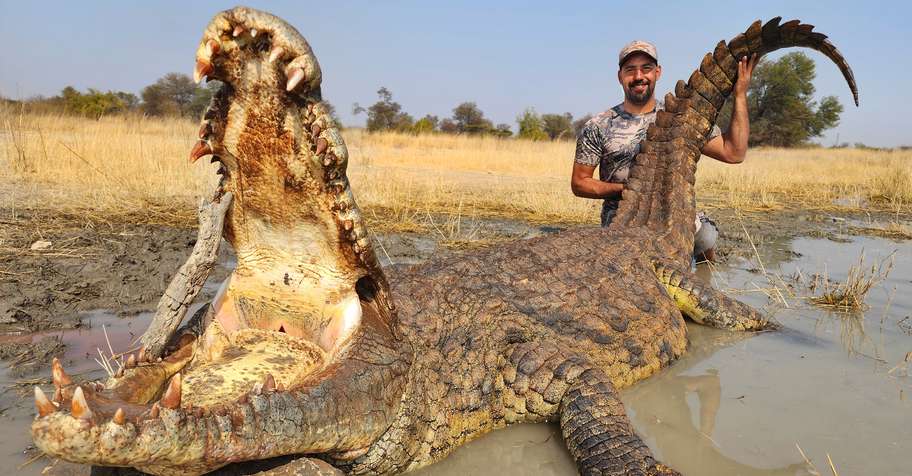 Dinosaur Hunt Package