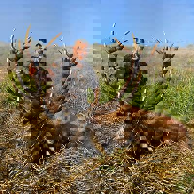 Red Deer package hunt