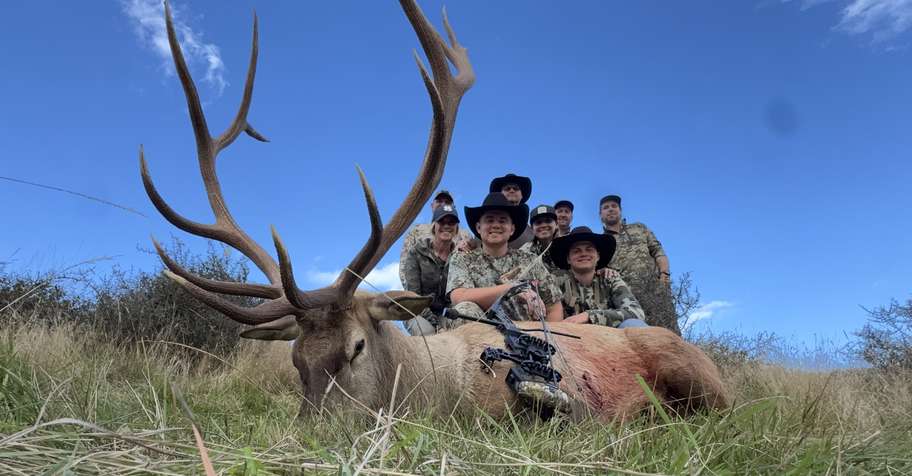 Wapiti (elk) hunt New Zealand