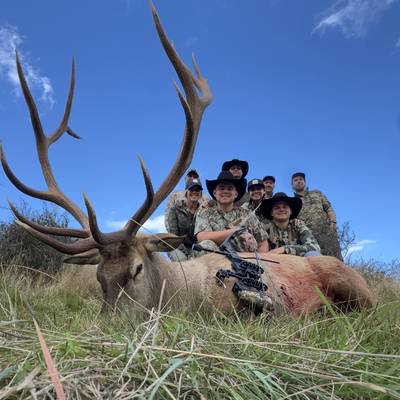 Wapiti (elk) hunt New Zealand