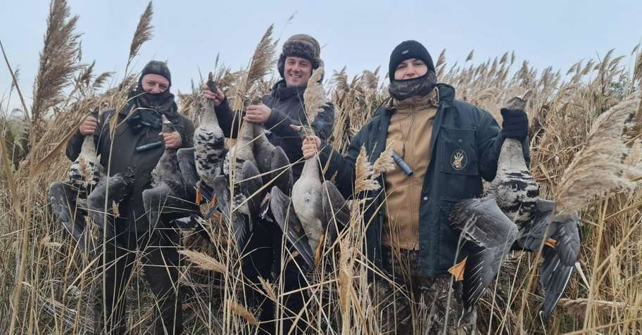 Serbia geese and ducks hunting