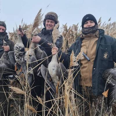 Serbia geese and ducks hunting
