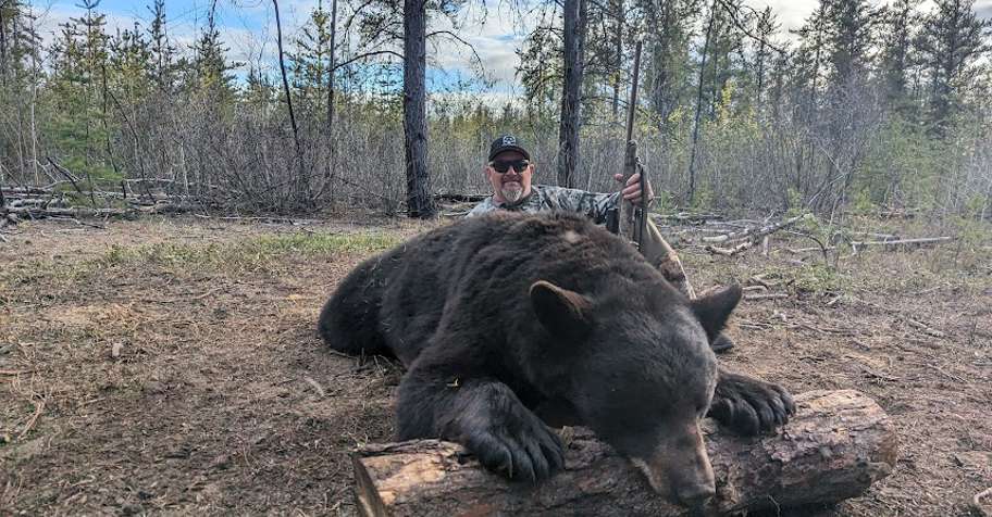 BIG bears at the D-LOOP '2026