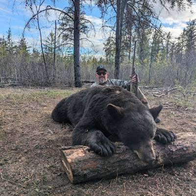 BIG bears at the D-LOOP '2026