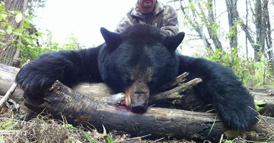 Black Bear -Spot & Stalk Rifle Hunt '26