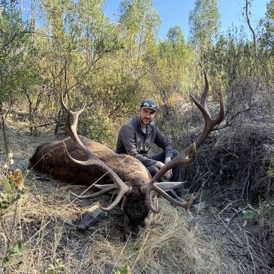 Iberian Stag Package  - Castelo Branco