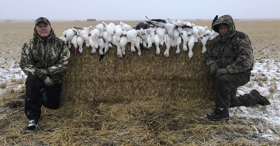 Spring Snow Goose Hunt- 4 Day