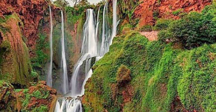 3 Days Driven Wild Boar Hunt