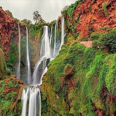 3 Days Driven Wild Boar Hunt