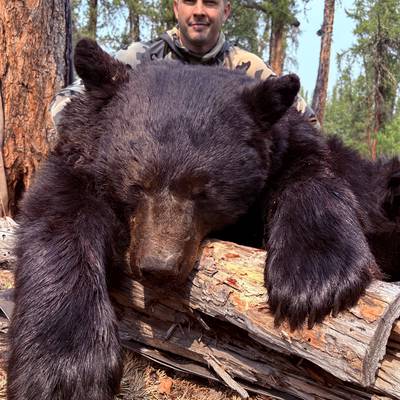 Fly In Trophy Alberta Black Bear '26