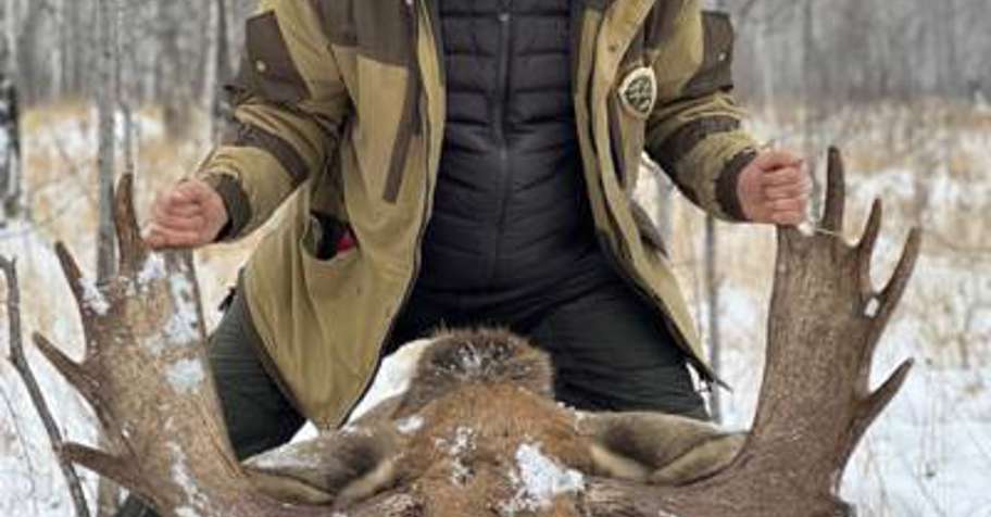 Охота Лось все половые виды