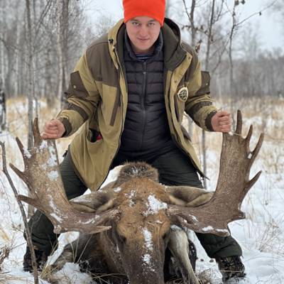 Охота Лось все половые виды