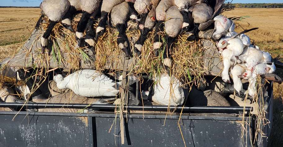 5 Waterfowl Hunts in 3 Days