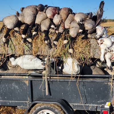 5 Waterfowl Hunts in 3 Days