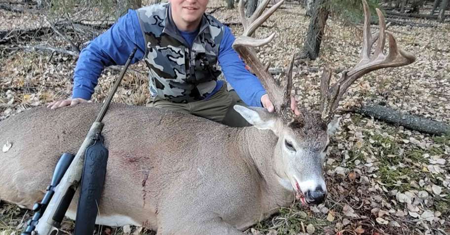 Rut Rifle Whitetail Deer 2026