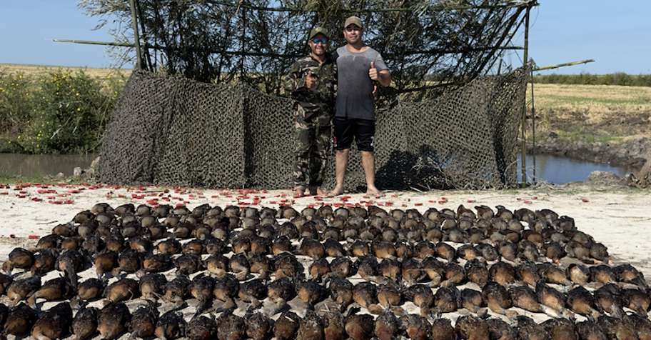 2027 last spots PARAGUAY WATERFOWL