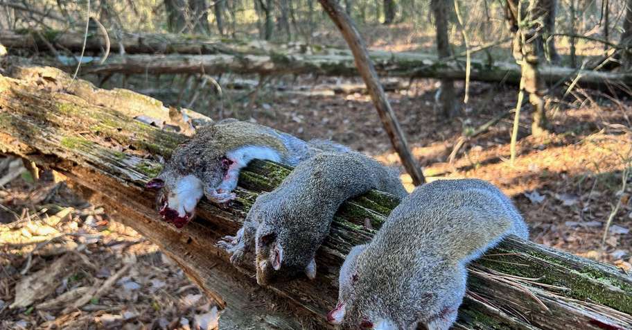Squirrel/Rabbit Small Game Hunt 2026-27