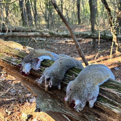 Squirrel/Rabbit Small Game Hunt 2026-27