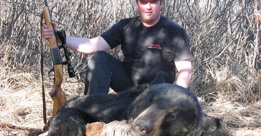 Black Bear spot n stock