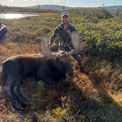 Newfoundland Moose Hunt 2026