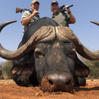 Ultimate Cape Buffalo and Sable safari.