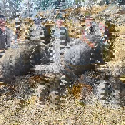 Buffalo Season Special