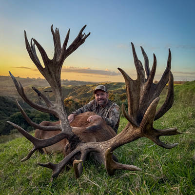 🔥***MONSTER 600" RED STAG HUNT***🔥