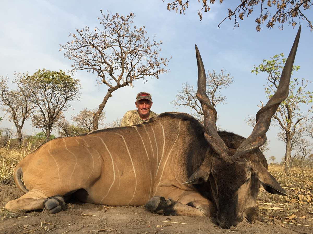 giant eland antelope