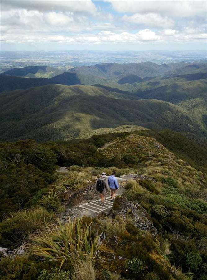 Hunting accommodation