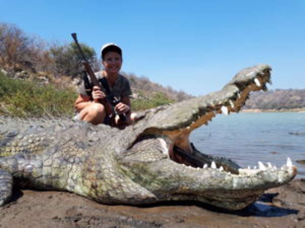 Nile Crocodile Special / Лимпопо, Южно-Африканская Республика -  BookYourHunt.com