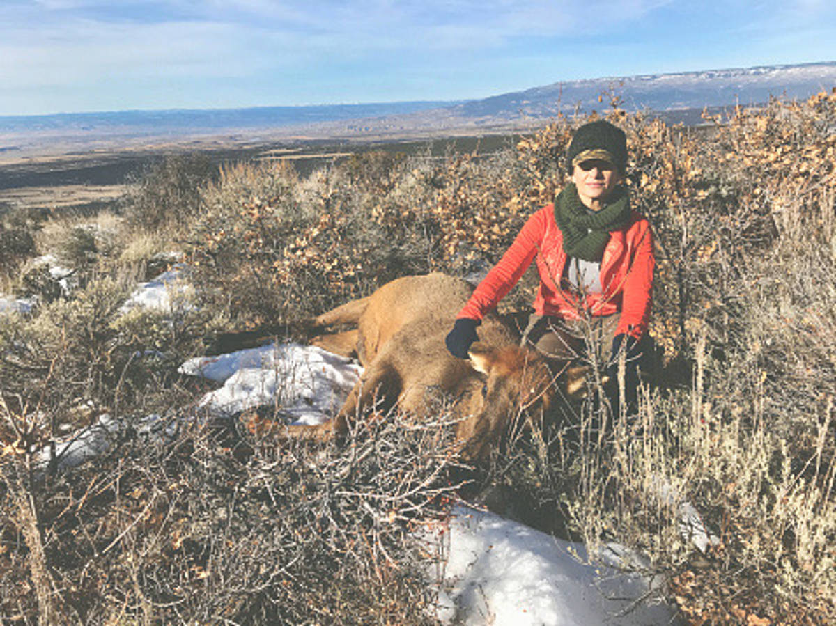 1x1 5 Day Cow Elk Hunt 2025 / Arizona, United States - BookYourHunt.com