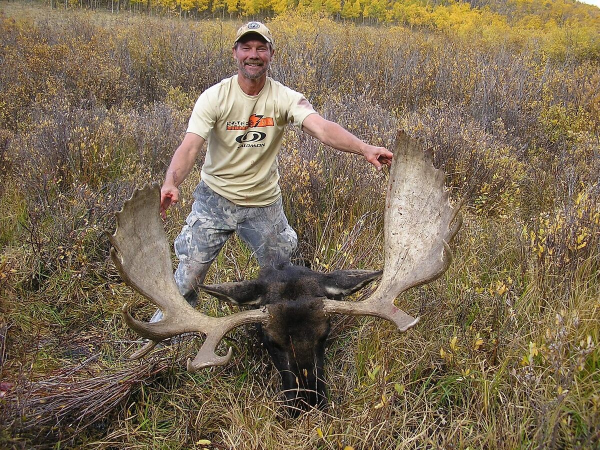 7 Day Shiras Moose Hunt Colorado United States Bookyourhunt Com