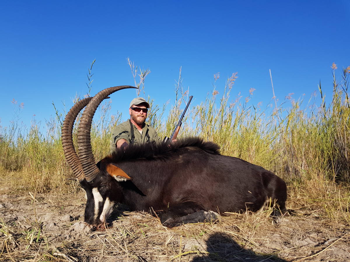 Limpopo Plains Game Hunt (2x1) / Лимпопо, Южно-Африканская Республика -  BookYourHunt.com