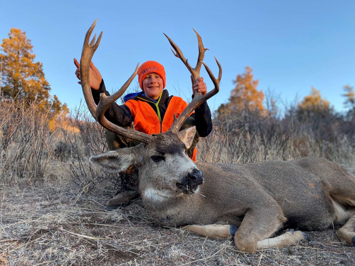 Mule Deer / Colorado, United States - BookYourHunt.com