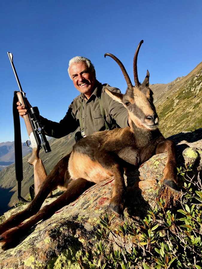 Pyrenean Chamois - Trophy Hunting Spain