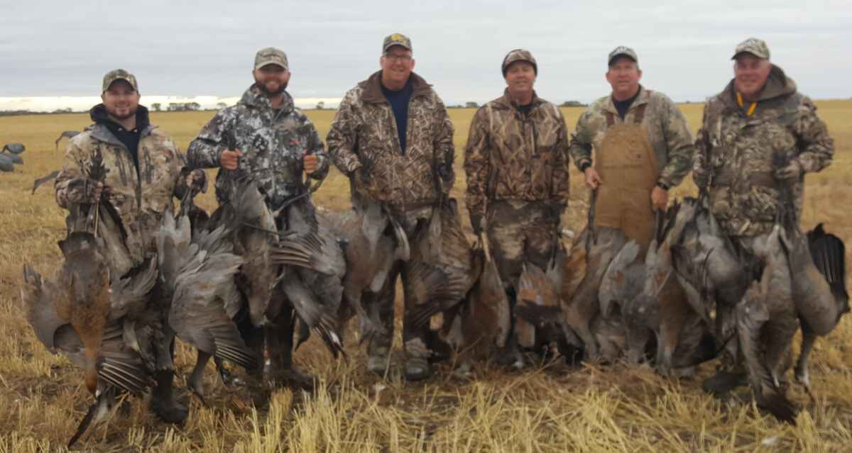 Alberta adds sandhill crane hunting season