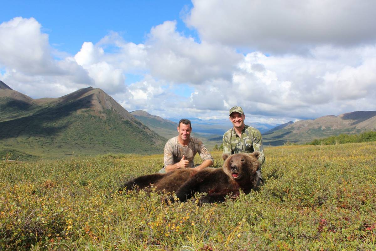 10 Day Dall Sheep/Grizzly/Wolf Hunt / Alaska, United States -  BookYourHunt.com