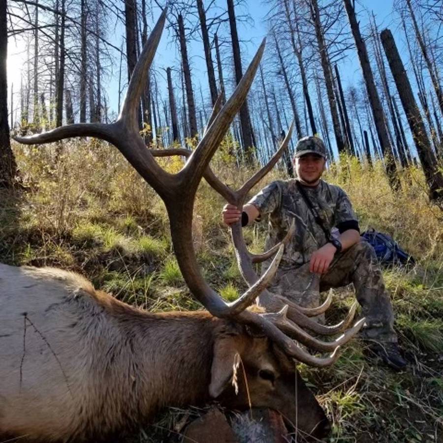 2024 NM Archery Elk Hunt / New Mexico, United States