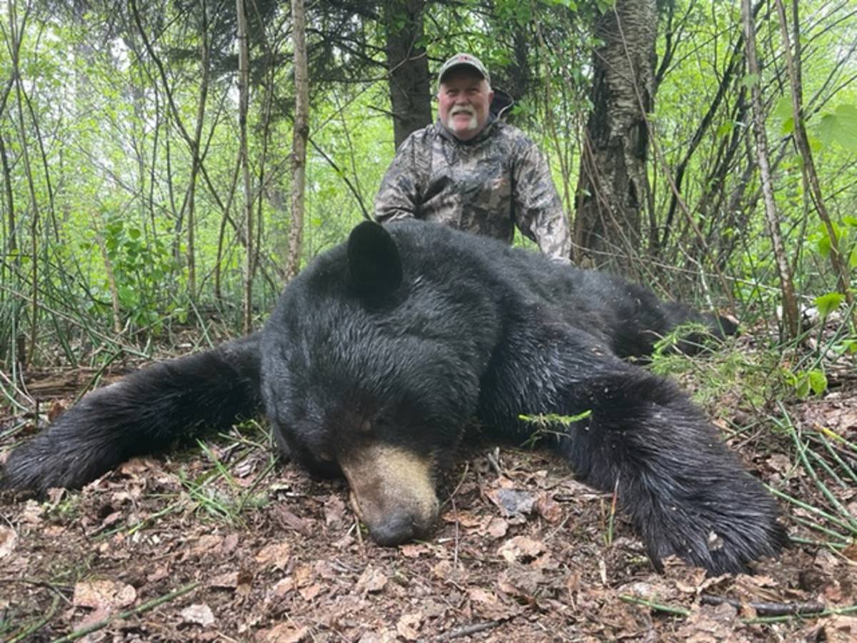 FALL Black Bear - Sept 15, 2025 / Saskatchewan, Canada - BookYourHunt.com