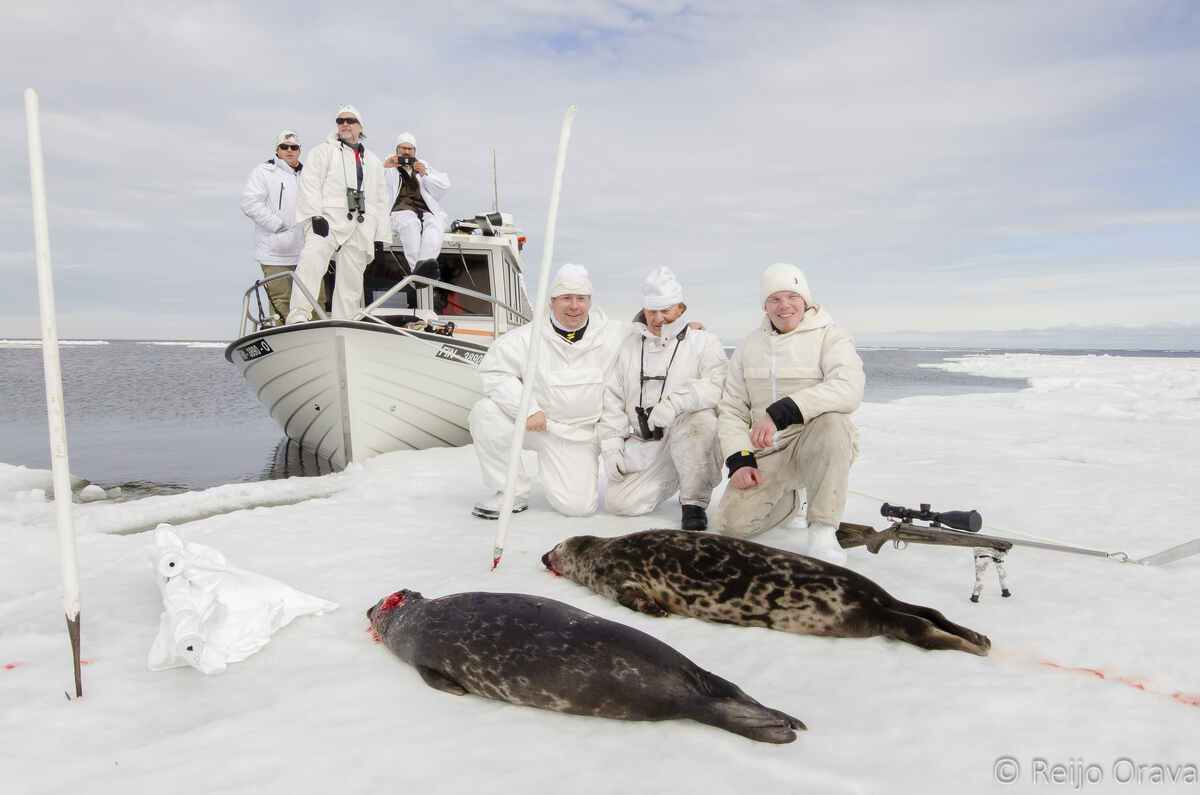 Seal Hunting / Finland