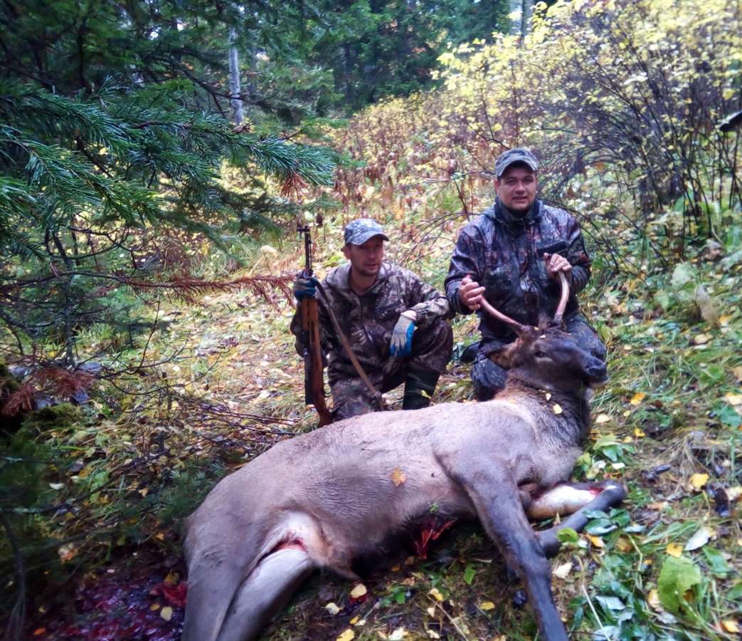 Best Days Of The Rut 2021 Maral hunting during the rut in 2021 / Russia   BookYourHunt.com