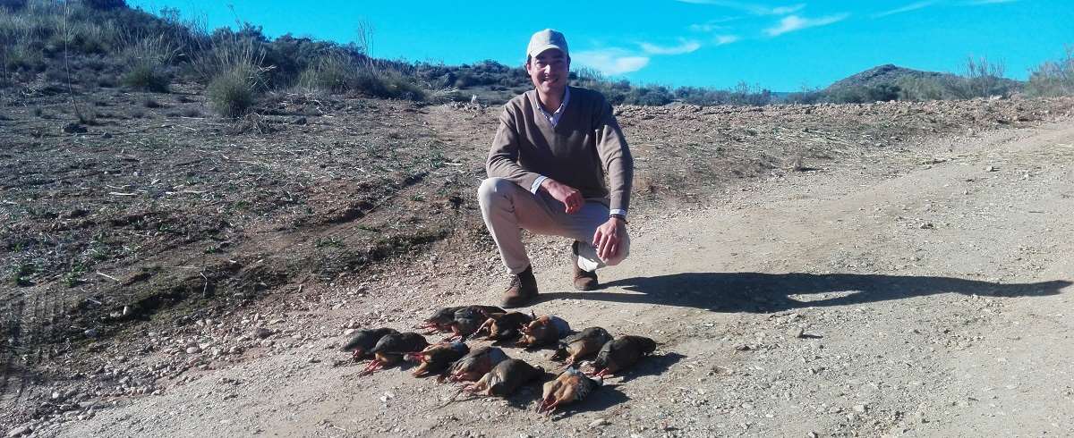 Partridge Pheasant Thrush 3 6 Guns