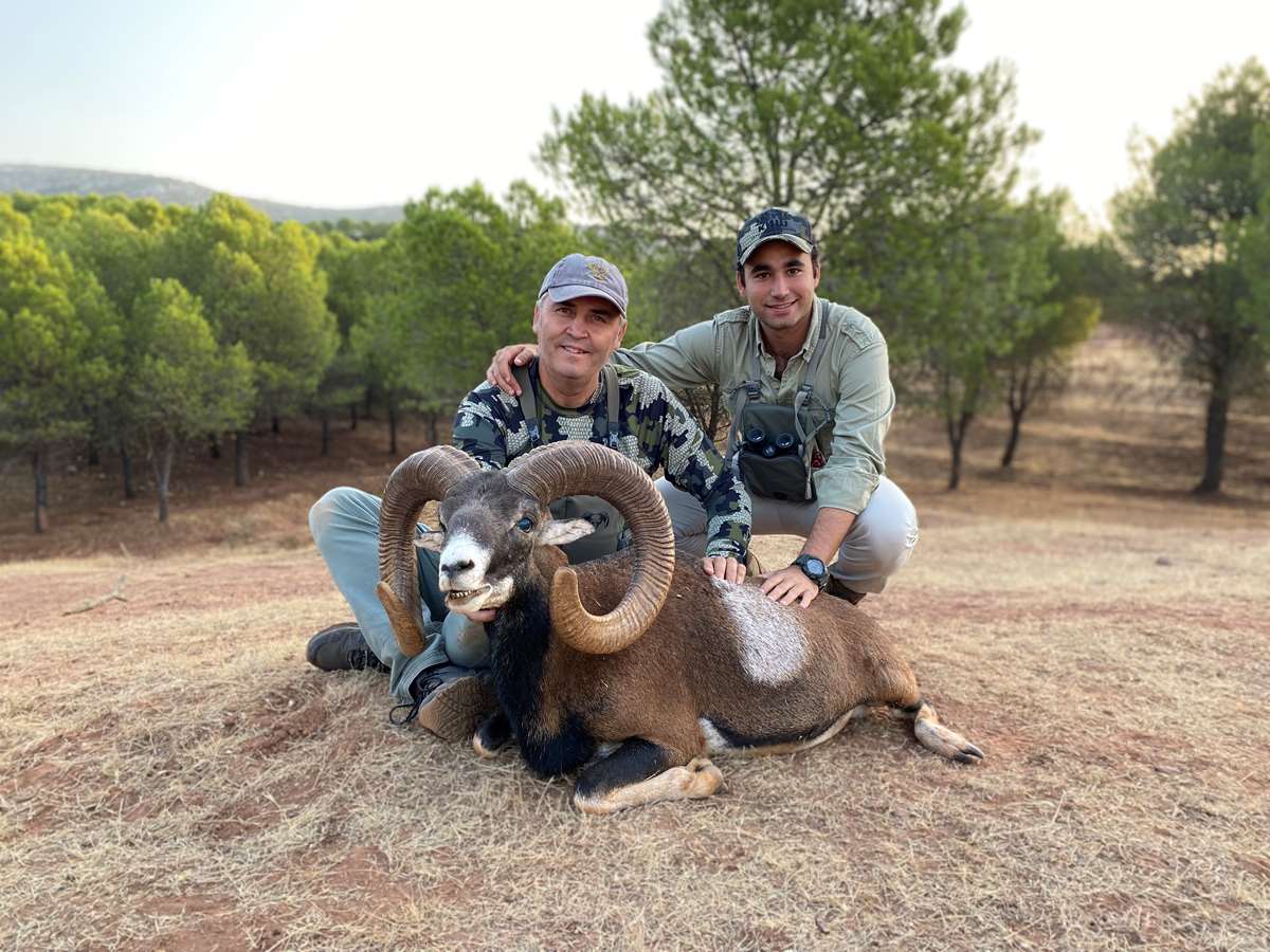 Iberian Mouflon / Andalusia, Испания - BookYourHunt.com